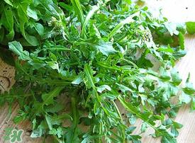 荠菜上有白点能吃吗？荠菜背面有白点是什么？