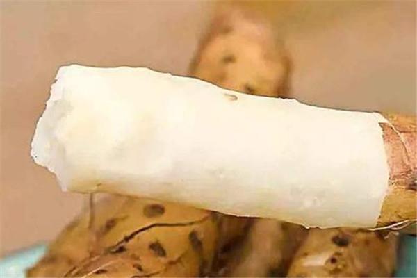 山药和淮山有什么区别 什么是淮山 山药和淮山有什么区别 什么是淮山