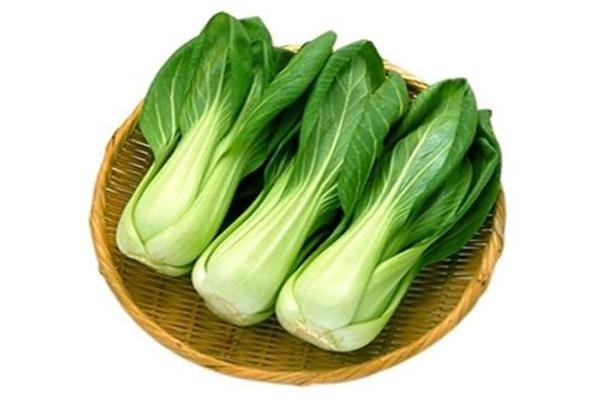 上海青需要焯水吗 上海青可以煮着吃吗 上海青需要焯水吗 上海青可以煮着吃吗