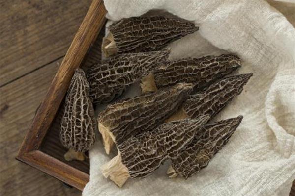 荨麻疹可以吃羊肚菌吗 吃羊肚菌会引起荨麻疹吗 荨麻疹可以吃羊肚菌吗 吃羊肚菌会引起荨麻疹吗