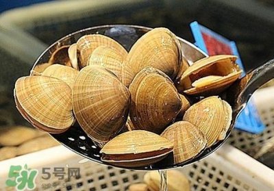 ​黄蚬子和花蚬子哪个好？黄蚬子和花蚬子的区别