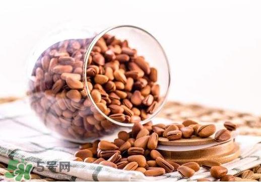 松籽好吃吗?松籽怎么吃 松籽好吃吗?松籽怎么吃