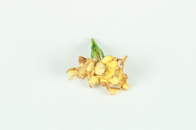 ​栀子花给水的正确方法，栀子花可以浇啤酒吗