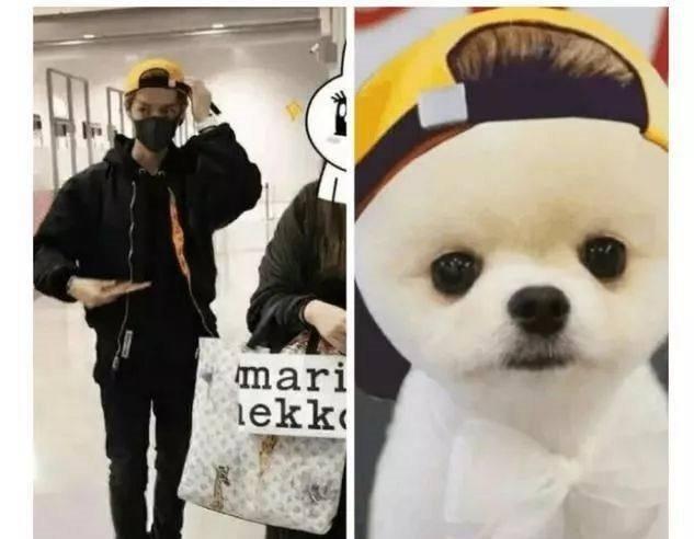 关晓彤微博小号曝光 光是头像就隐藏了这么多狗粮！