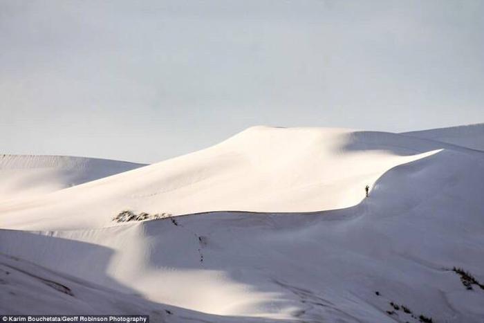 撒哈拉沙漠下雪 世界上最干燥的地区之一，热带沙漠气候 下雪为什么？