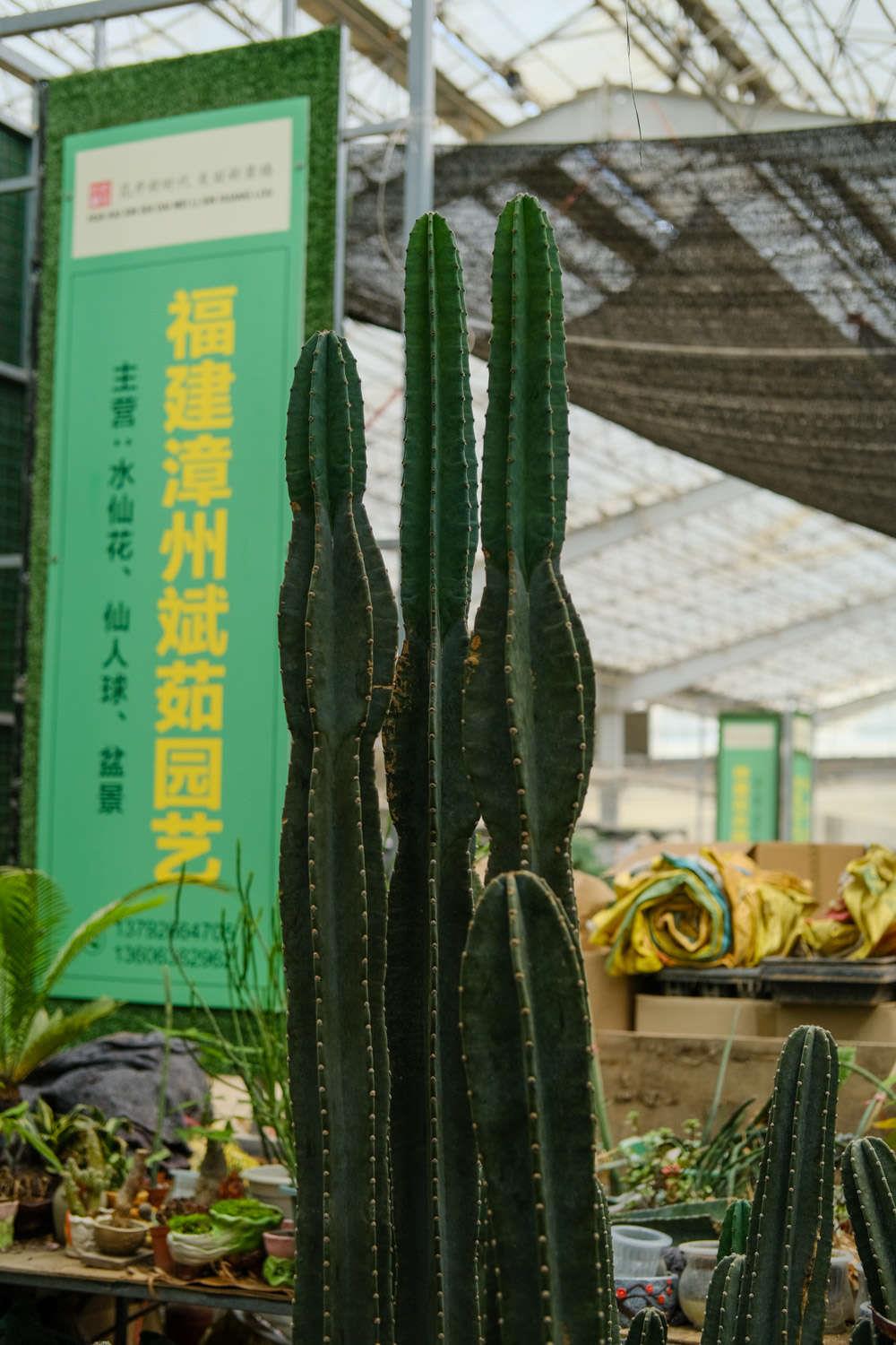 量天尺 量天尺