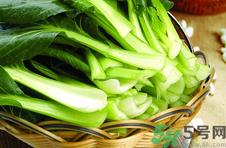 油菜是什么菜?油菜是长什么样子的? 油菜是什么菜?油菜是长什么样子的?