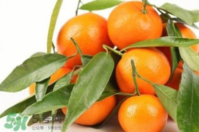 ​宝宝可以吃冰糖橘吗？宝宝吃冰糖橘上火吗？