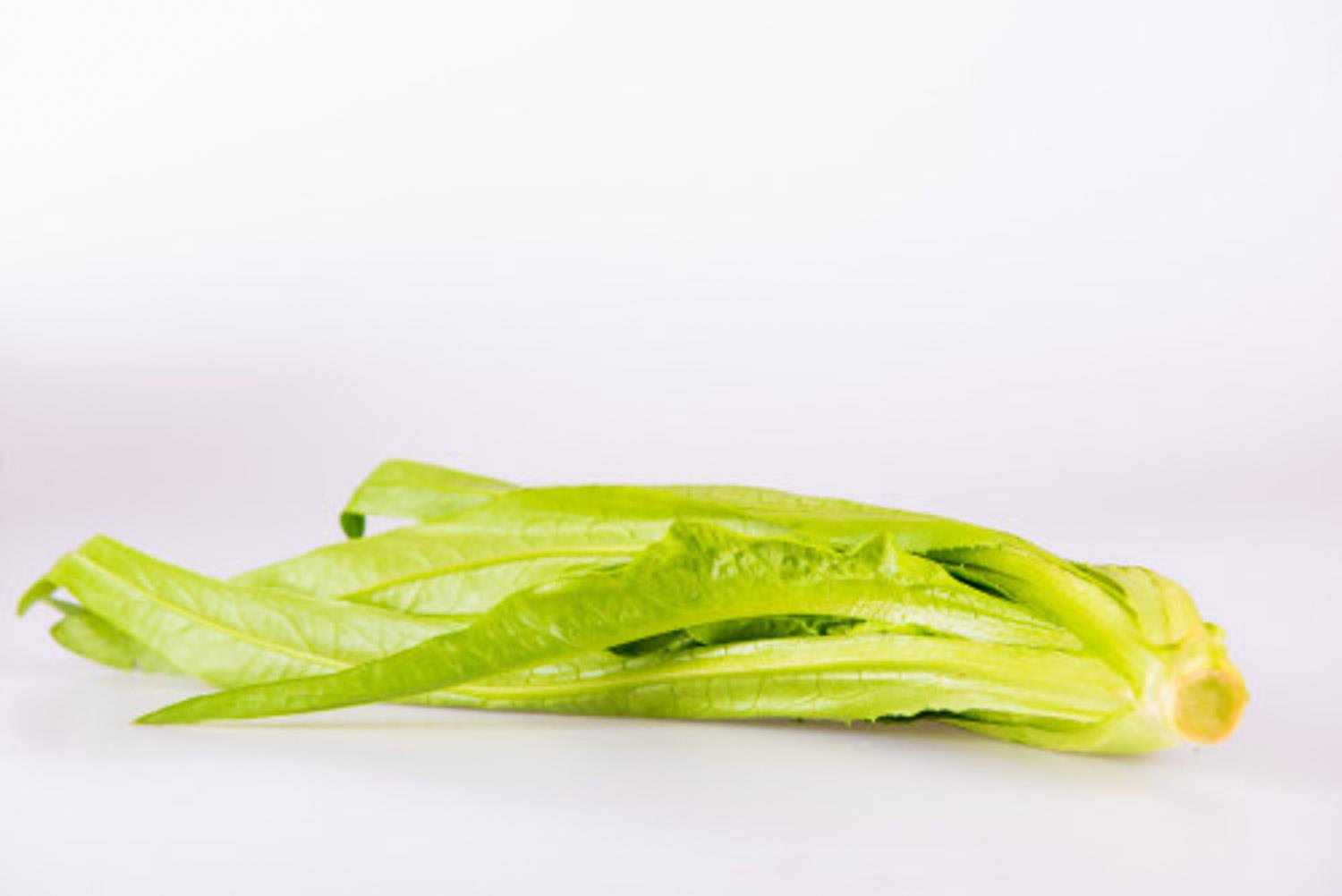 油麦菜 油麦菜