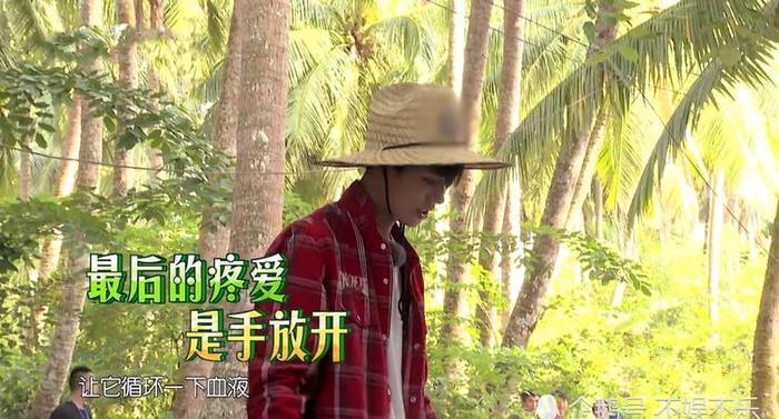 《野生厨房》李菲儿放生，王鸥杀鸡，为何后者好评反而更多？