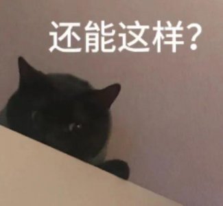 ​姐你…身边就没个敢说实话的人？