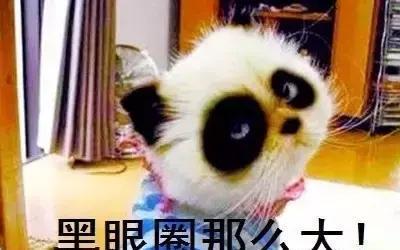 喜茶、一点点、COCO等网红奶茶大揭秘,看完后你还敢不敢喝?