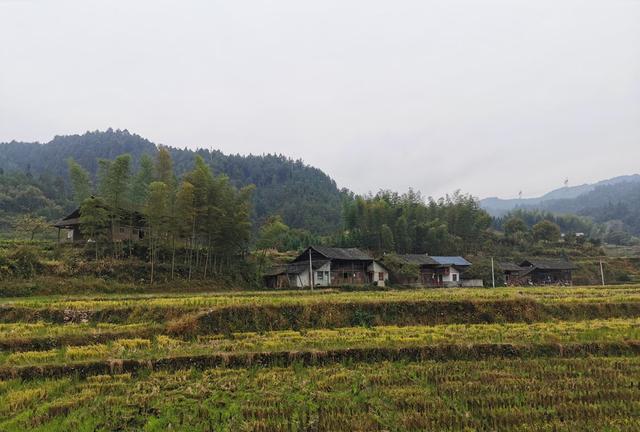怀化雪峰山苏宝顶，云雾缭绕中的湖南第一山