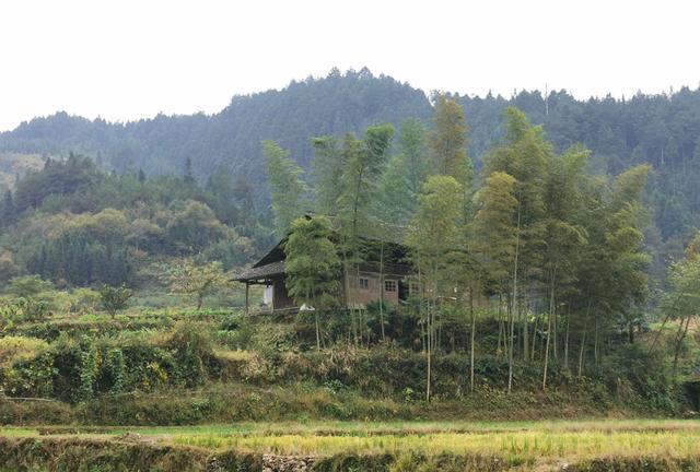 怀化雪峰山苏宝顶，云雾缭绕中的湖南第一山