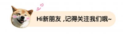 ​南方的山乌龟遍地是，北方却卖150一株，成多肉市场上的“贵族”