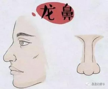 ​鼻子在五官中地位重要，被誉为装钱的口袋！成龙鼻相详细分析