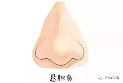 鼻子在五官中地位重要，被誉为装钱的口袋！成龙鼻相详细分析