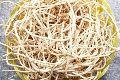 ​鱼腥草有消炎的作用吗 鱼腥草有什么功效
