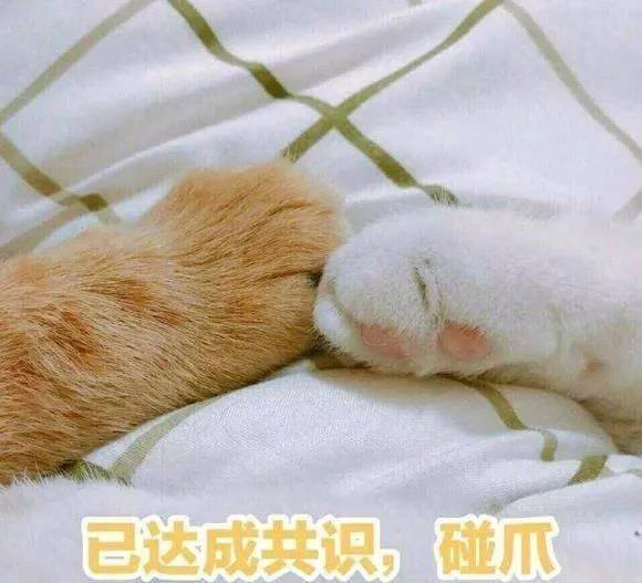 搞笑图片：别爱我，没结果
