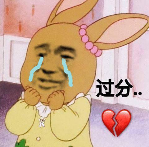搞笑图片：别爱我，没结果