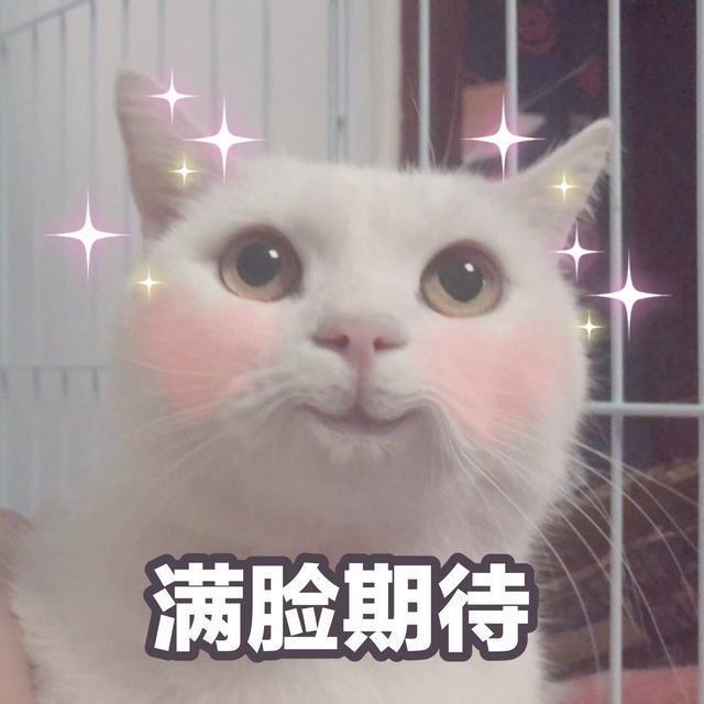 搞笑图片：别爱我，没结果