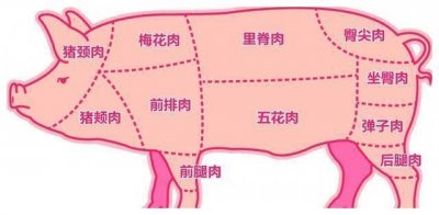 ​猪肉各部位图解，适宜吃法，热量多少，厨师长普及用肉知识