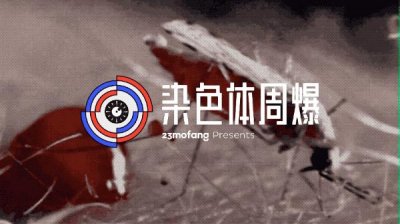 ​如果全世界的蚊子消失了会怎样？