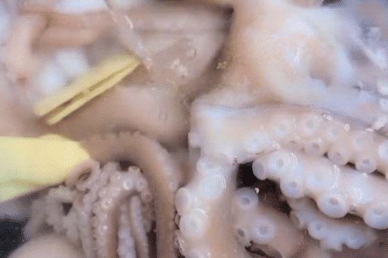 网红大爆头，红烧长腿八爪鱼，春天要吃的一道海鲜，过瘾