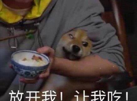 王珞丹领养“瓢哥”，想不到现实中的她，竟是这样的
