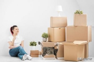 ​不同时期的猫咪该吃什么？建议收藏 不同年龄的猫吃什么