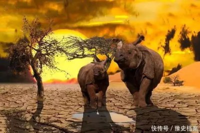 科学家警告:第六次生物灭绝已来临各种迹象表明这不是危言耸听