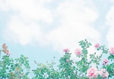 ​白素贞成仙后还是蛇吗？据说她就是虬褫变化而成的