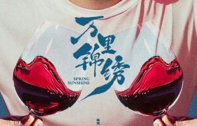 ​万里锦绣电视剧讲的是什么，万里锦绣剧情简介