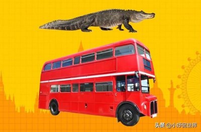 ​盘点这个世界上所存在的7种最大的事物
