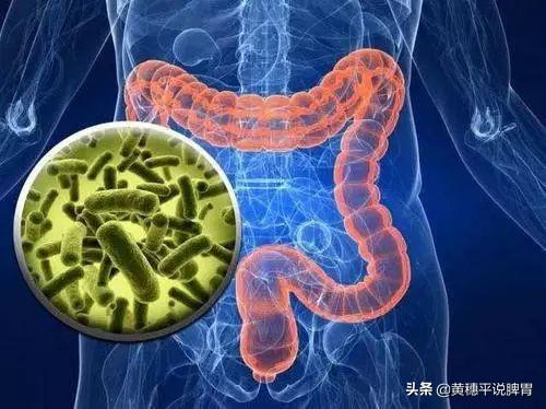 教你几招自测幽门螺杆菌(健康体检查幽门螺杆菌的3种方法)(3)
