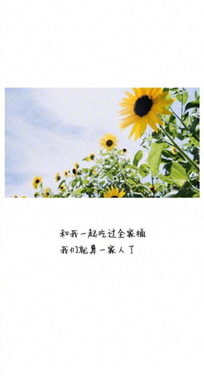 不要羡慕贾乃亮的土味情话了，拿走不谢