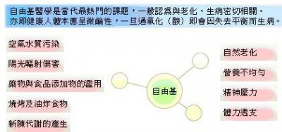 ​何谓自由基