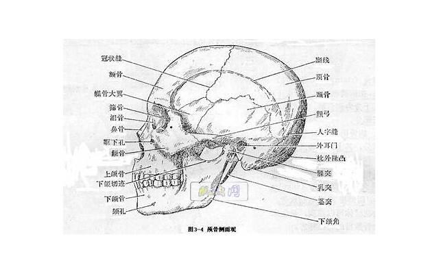 离婚后和前夫还一起睡（为何还与前夫睡在一起）
