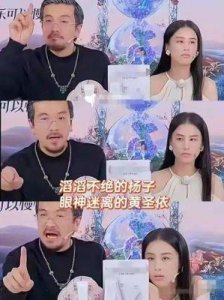 ​黄圣依与杨子的婚姻：背后的牺牲与不被理解的真实故事
