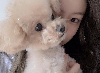 ​如何巧妙地安抚女友与妈妈的争吵