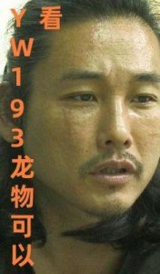 ​yw193龙物失联：相关情况详解