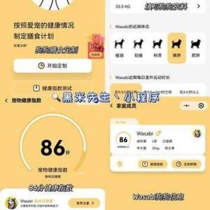 ​成全免费下载大全软件：免费下载软件的终极秘籍曝光！
