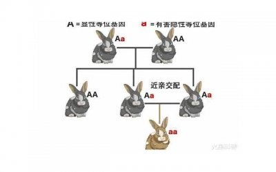 人为什么要结婚的理由 原因有这两个
