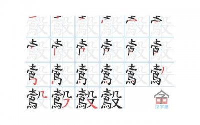 ​诉讼离婚都需要什么条件