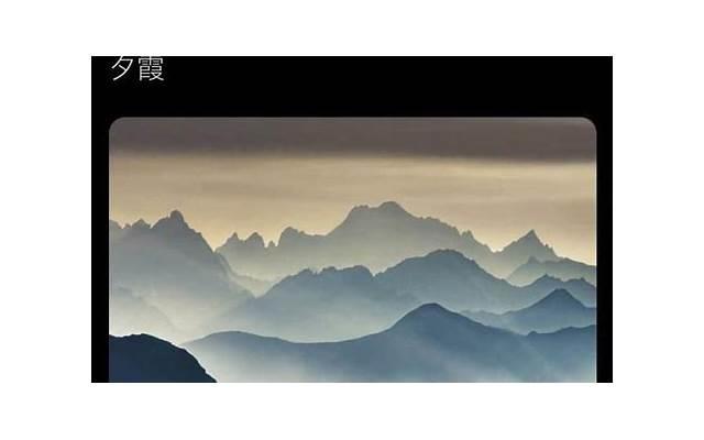 为什么床上会有隐翅虫？如何解决