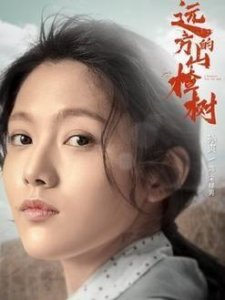 ​《遥远的山楂树》宋赫男的孩子是谁的？疑似男主角二的？