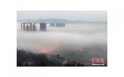 半截西装裙,穿黑色半截西装配短裙加长裤时尚知性