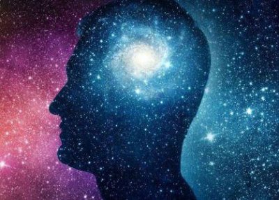 世界上狗狗排名 世界上狗狗排名第一