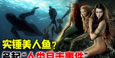 ​证实美人鱼真实存在的证据美人鱼真的是人类祖先吗？
