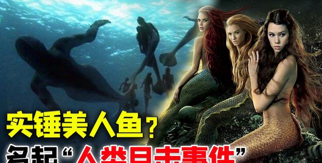 捕获？拍摄？曝光？找到美人鱼实锤证据？为何说或是人类祖先？